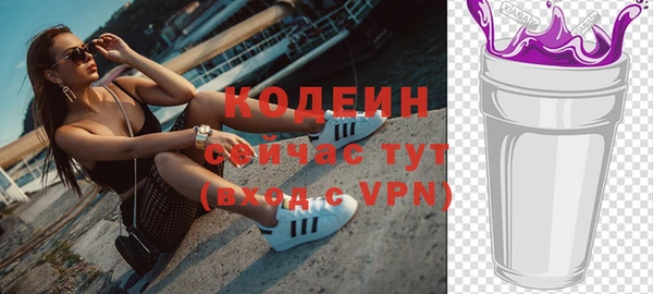 соль ск Няндома