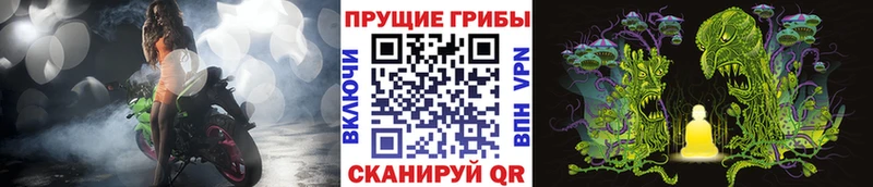 Галлюциногенные грибы MAGIC MUSHROOMS  kraken ONION  Белёв 